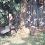 Barn2 2400